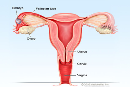 Ectopic Delivery
